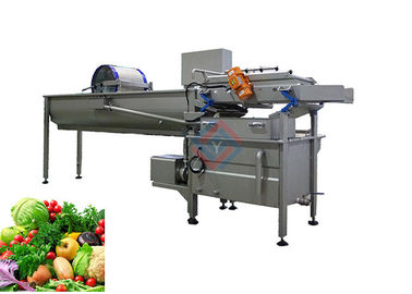 Draaikolktype Plantaardige Fruitwasmachine met Deslagging-Functie