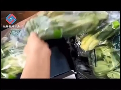 JY-600X  Vegetable Packaging Machine