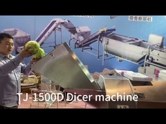 3D Commercieel Fruit en Plantaardige Dobbelende Machine 3000KG/H