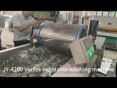 Ozon Fruit- en Groentebellenreinigingsmachine voor Saladebewerking