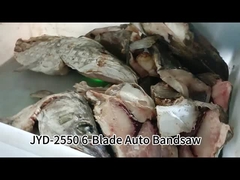 6-Blads Automatische Verticale Bandzaagmachine voor het Snijden van Bevroren Vis met Touchscreen Besturing