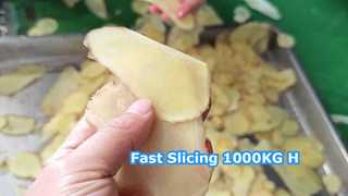 Centrifugale snijmachine van 1000 kg/u