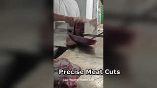 Vleeslintzaag Precisiesnijden JY 420